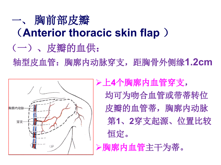 胸部皮肌皮瓣[共38页]_第4页