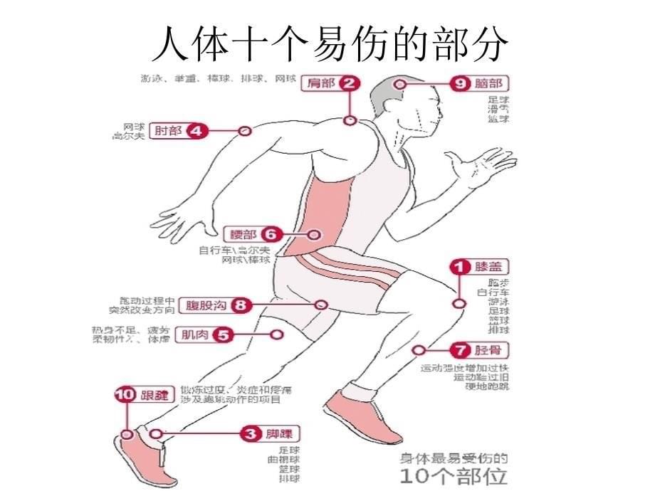 运动损伤及预防ppt课件_第5页