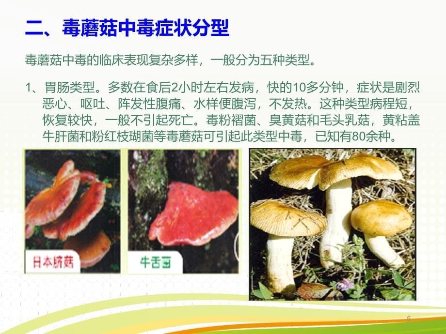 毒蘑菇中毒的预防与控制ppt课件_第5页