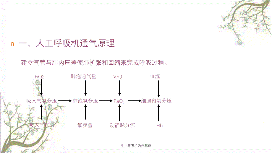 生儿呼吸机治疗基础_第3页