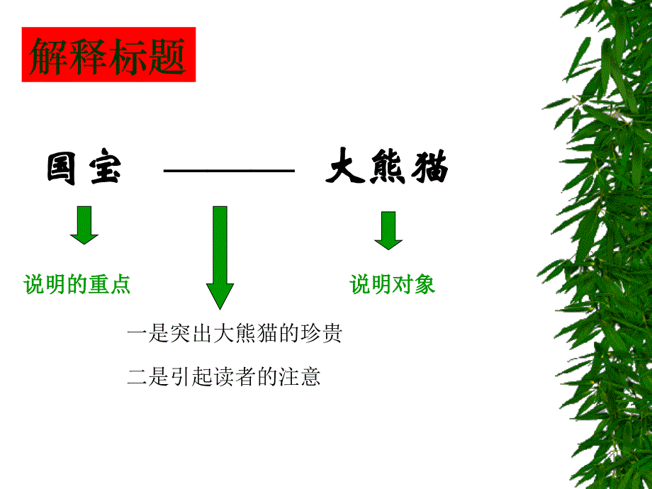 七年级语文国宝大熊猫2_第3页