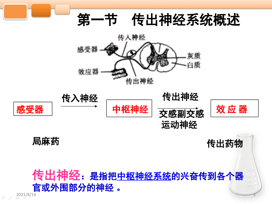 第二章传出神经系统药物护理药物学_第3页