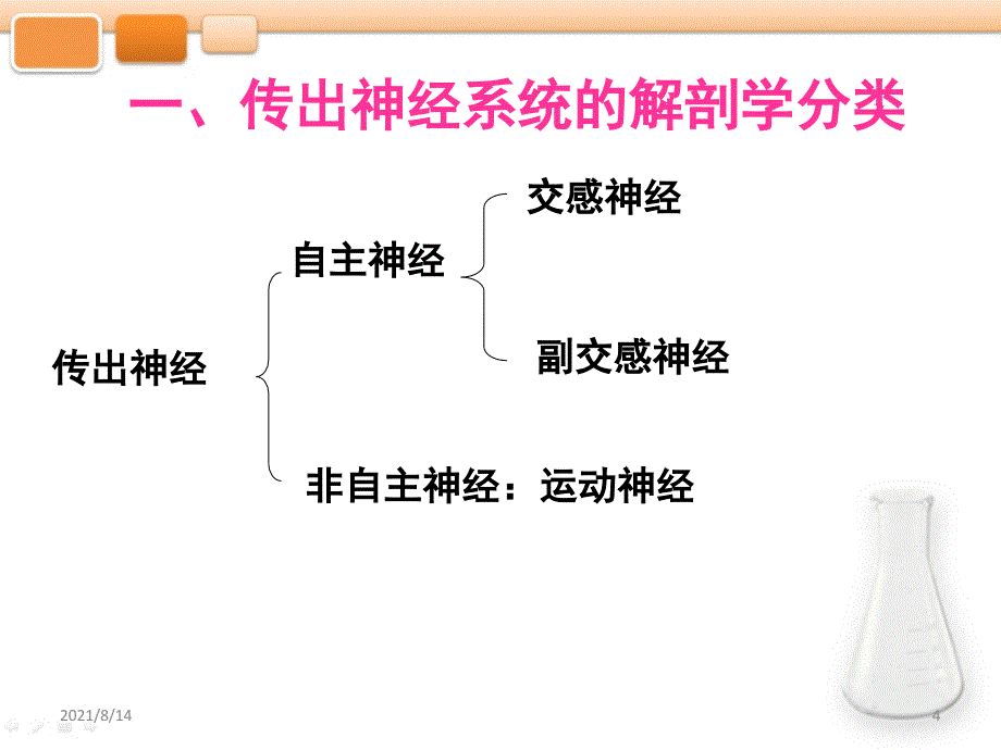 第二章传出神经系统药物护理药物学_第4页