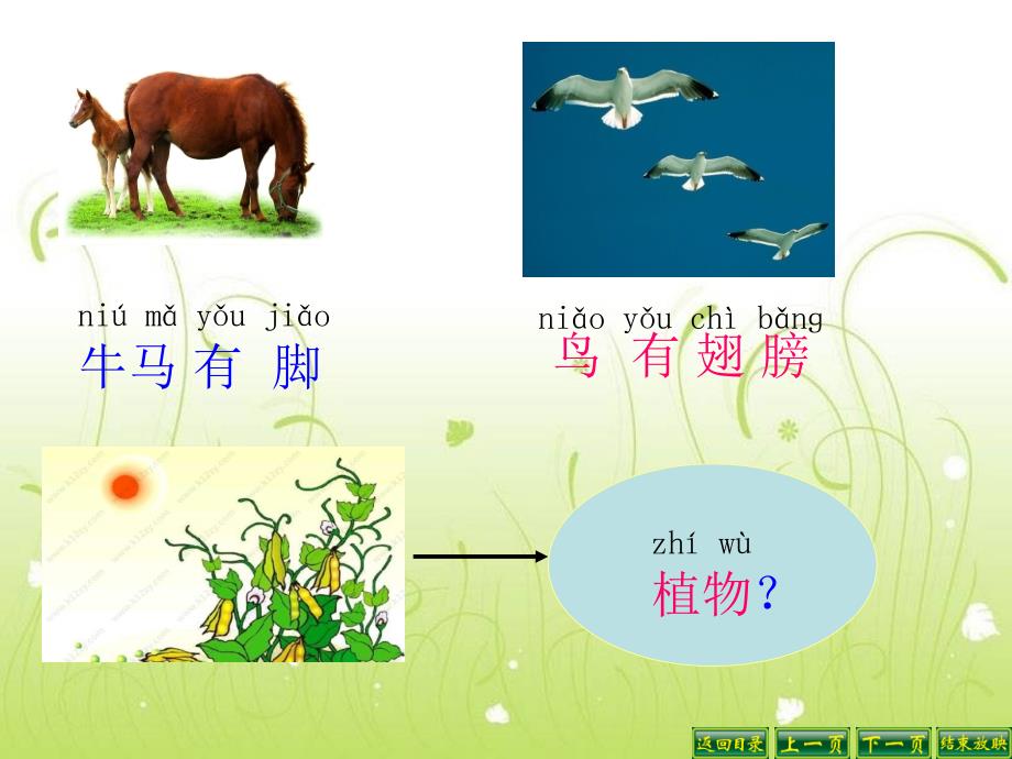 3植物妈妈有办法 (2)_第4页