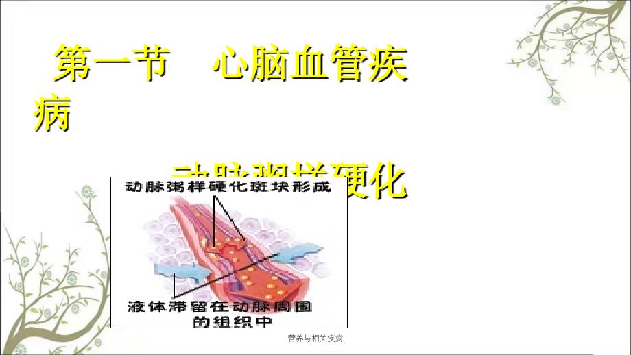 营养与相关疾病课件_第3页