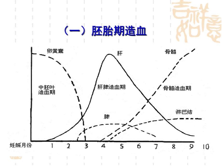 第十三章--造血系统疾病患儿的护理课件_第5页