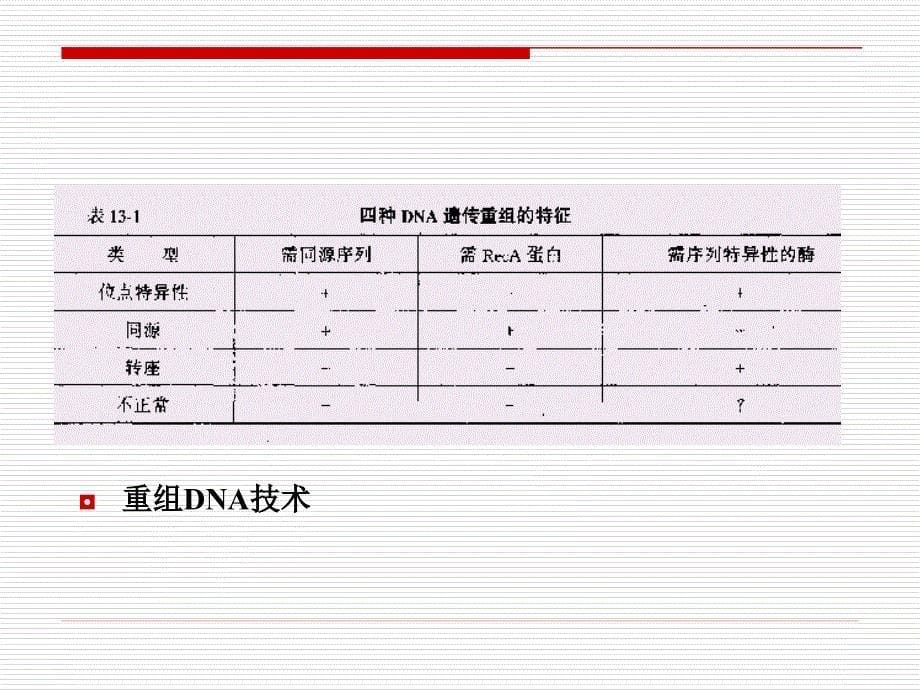 第7章DNA重组与转座_第5页