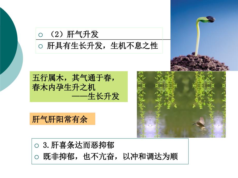 中医学概论-上篇：10肝2_第3页