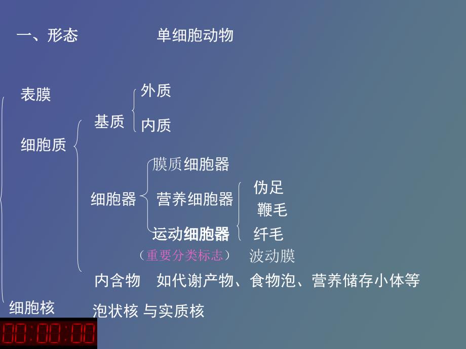 阿米巴原虫鞭毛虫_第3页