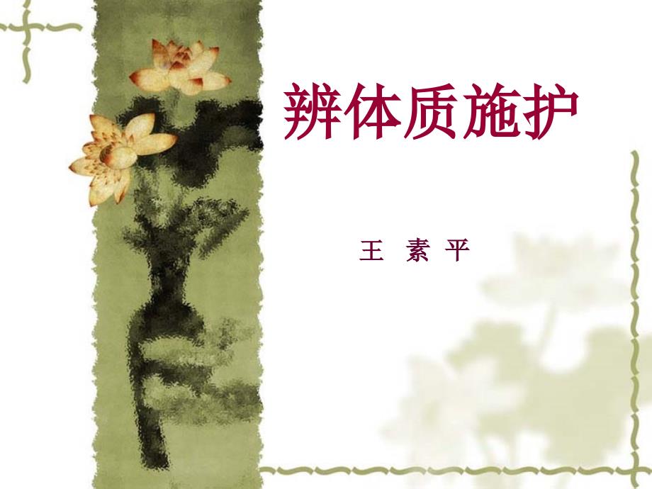 辨体质施护总结ppt课件_第1页