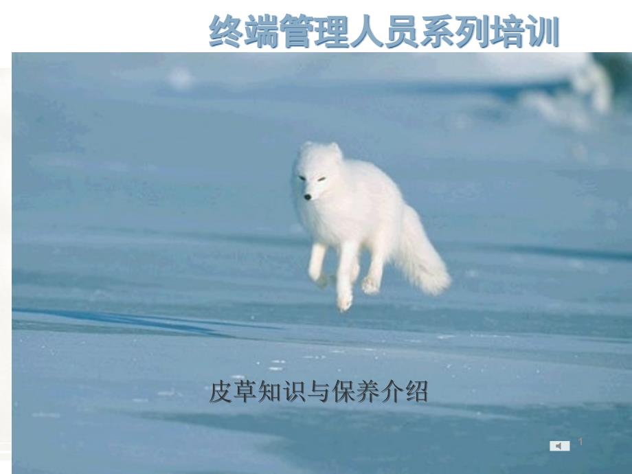 常用皮草知识ppt课件_第1页