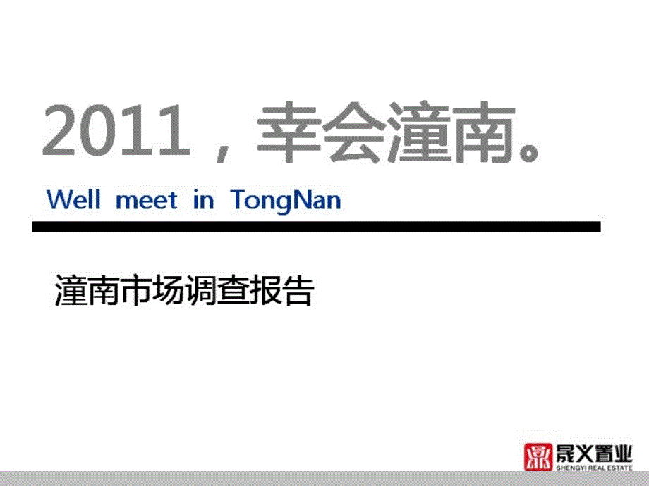 潼南市场调查报告42页_第1页