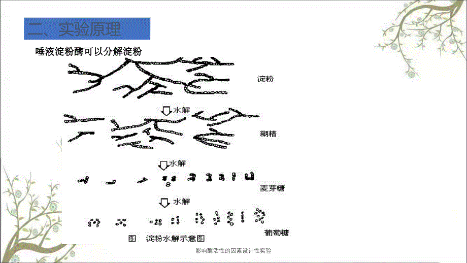 影响酶活性的因素设计性实验_第3页