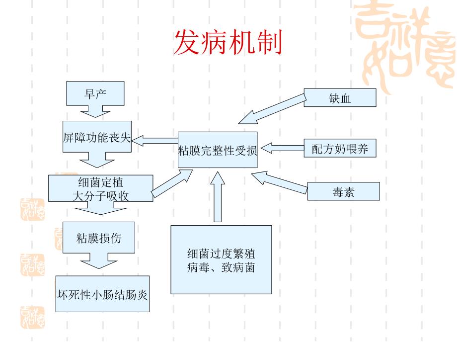 生儿肠造口术后PPT课件_第4页