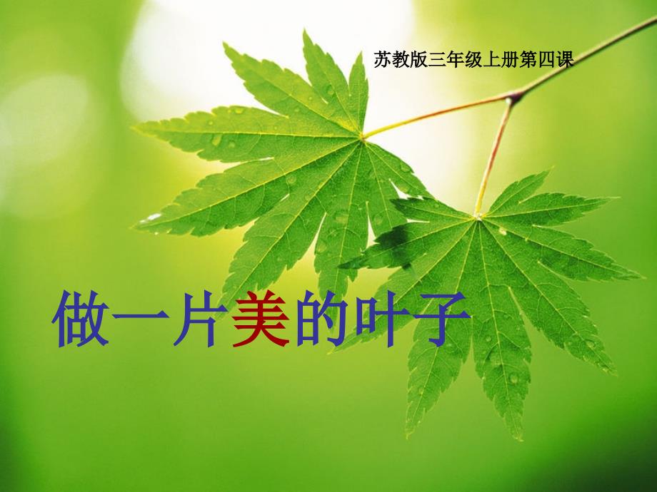 4做一片美的叶子2_第1页