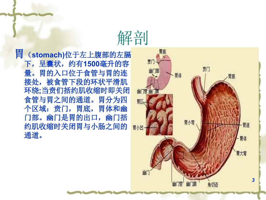 腹腔镜胃癌根治术手术配合ppt课件_第3页