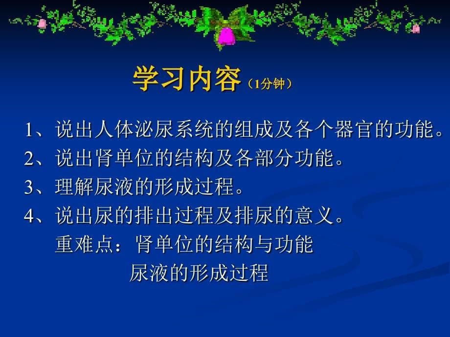 排泄特色教学教案.ppt_第5页