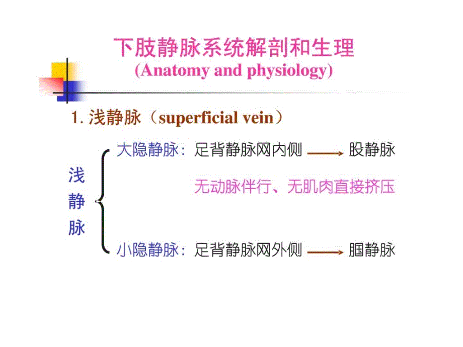 静脉曲张的护理精华_第3页