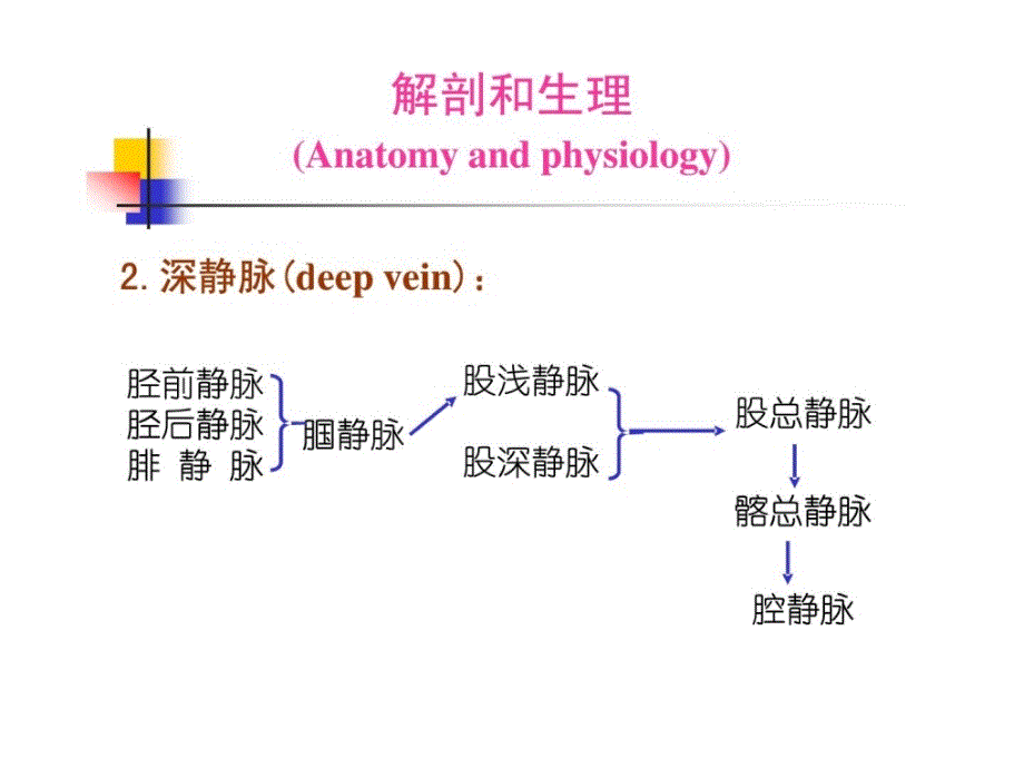 静脉曲张的护理精华_第4页