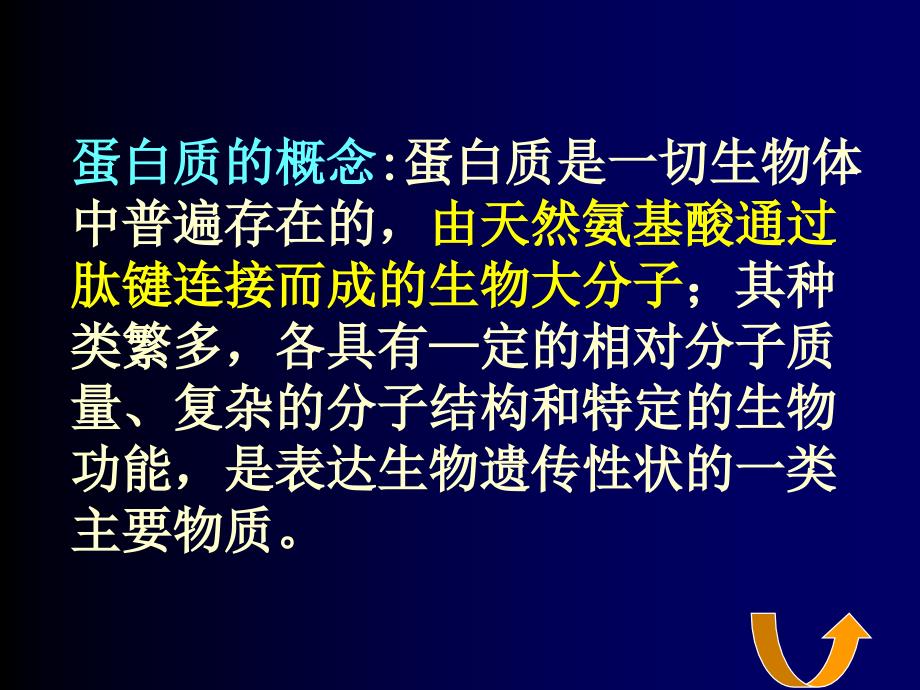 蛋白质一级结构_第3页