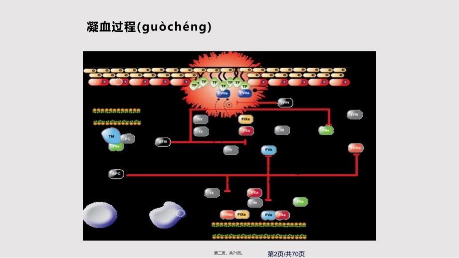 CRRT抗凝梅长林实用实用教案_第2页