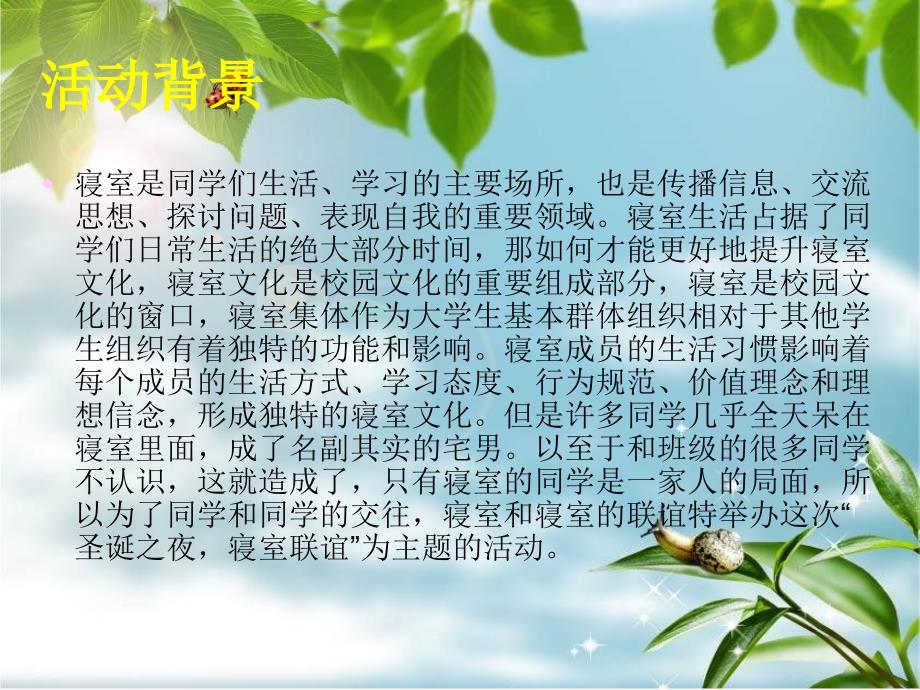 《主题策划活动》PPT课件.ppt_第2页