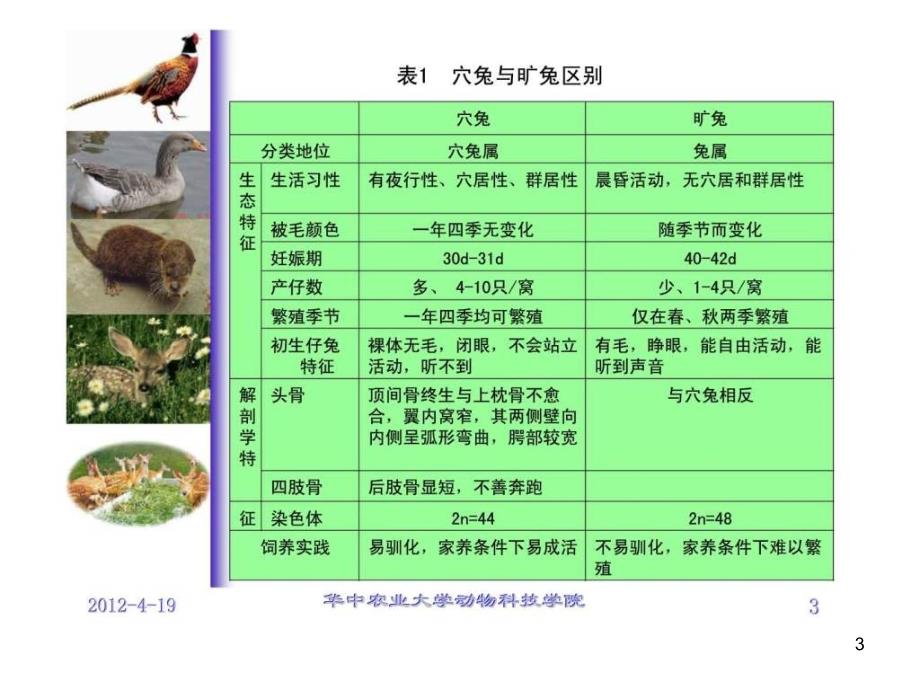 特种经济动物养殖培训班课程03兔ppt课件_第3页