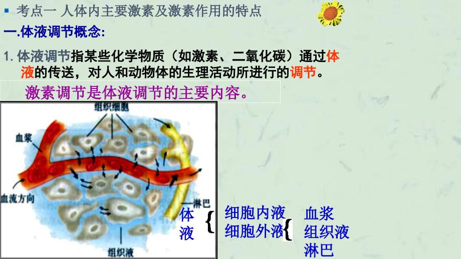 体液调节高三一轮复习课件_第3页