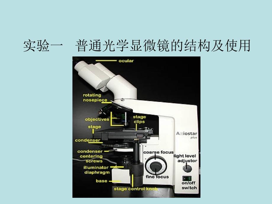 医学细胞生物学课件：实验一光学显微镜的结构及使用方法（1 0级）_第1页