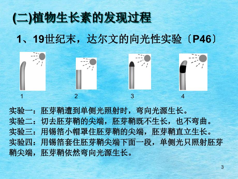 B3.3.1生物植物生长素的发现ppt课件_第3页