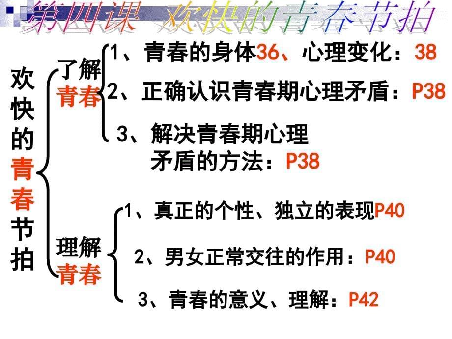 初一政治复习知识结构图.ppt_第5页