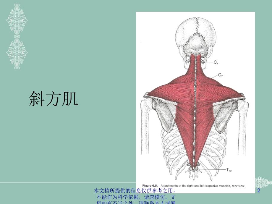 肌筋膜激痛点治疗_第2页