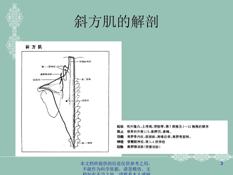 肌筋膜激痛点治疗_第3页