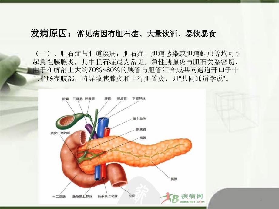 优质课件胰腺炎健康宣教_第3页