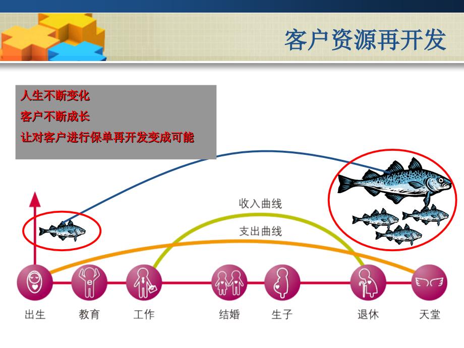 客户资源再开发_第4页