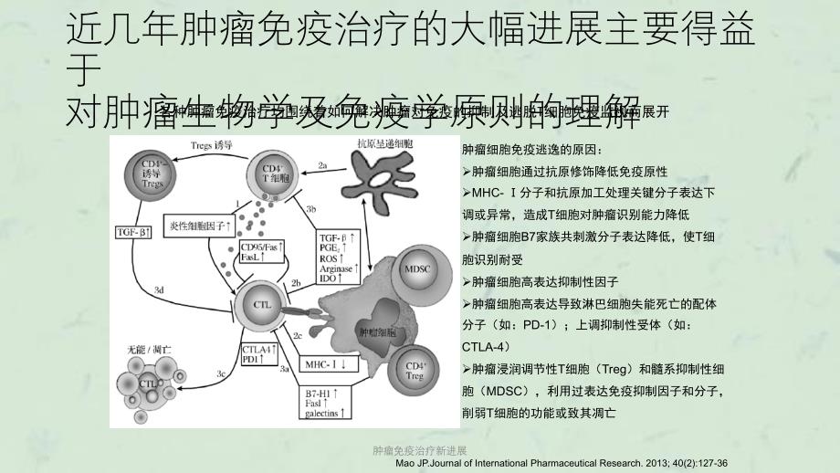 肿瘤免疫治疗新进展课件_第4页