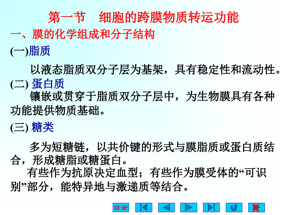 教案2神经肌肉_第2页