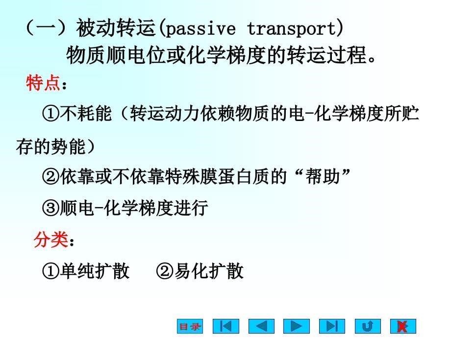 教案2神经肌肉_第5页