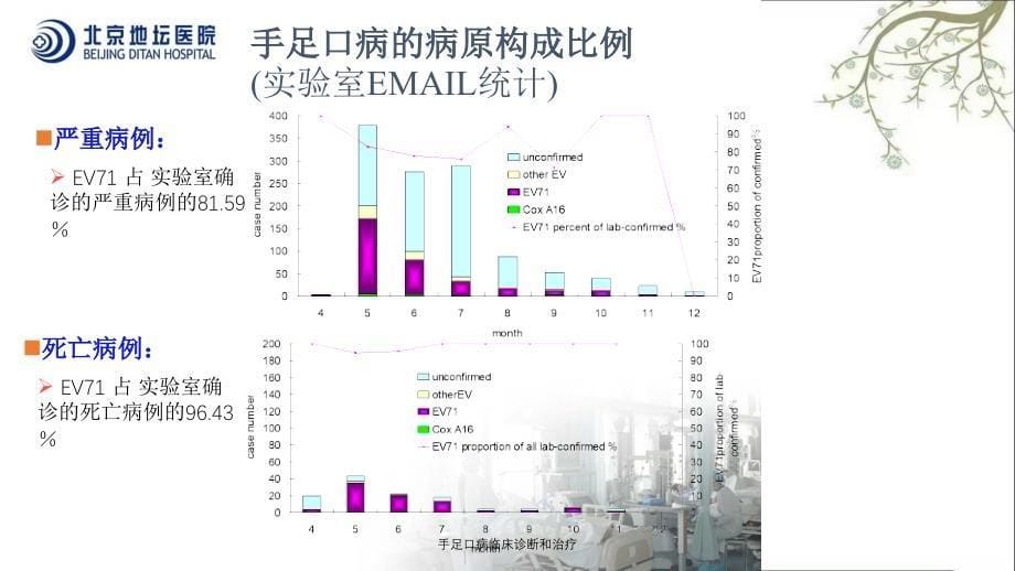 手足口病临床诊断和治疗_第5页