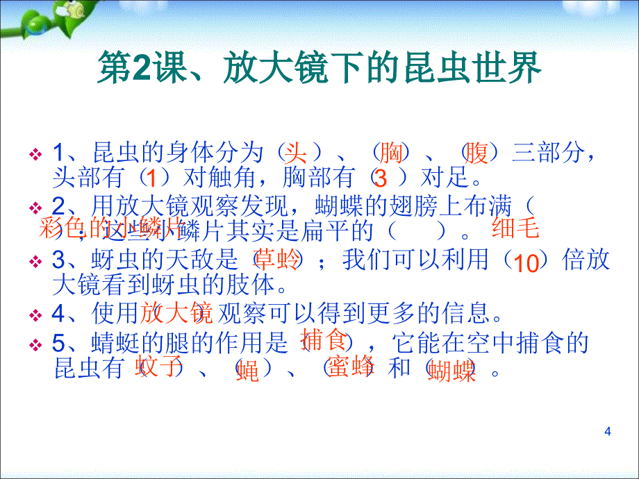 教科版六年级下册科学总复习ppt课件_第4页