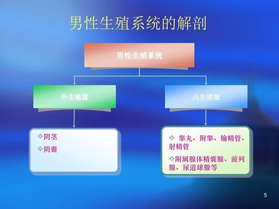 优质医学婚前性教育及性卫生保健_第5页