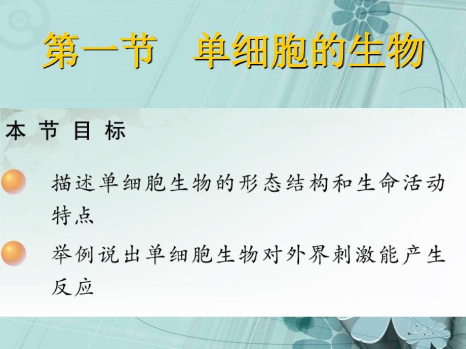 人教版生物七年上 2.2.4单细胞生物课件_第1页