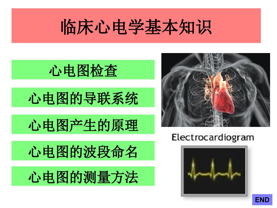 临床心电学基本知识参考PPT_第2页