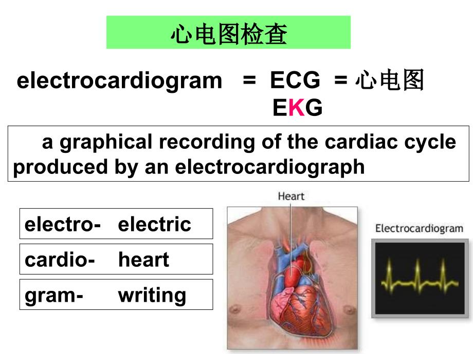 临床心电学基本知识参考PPT_第3页