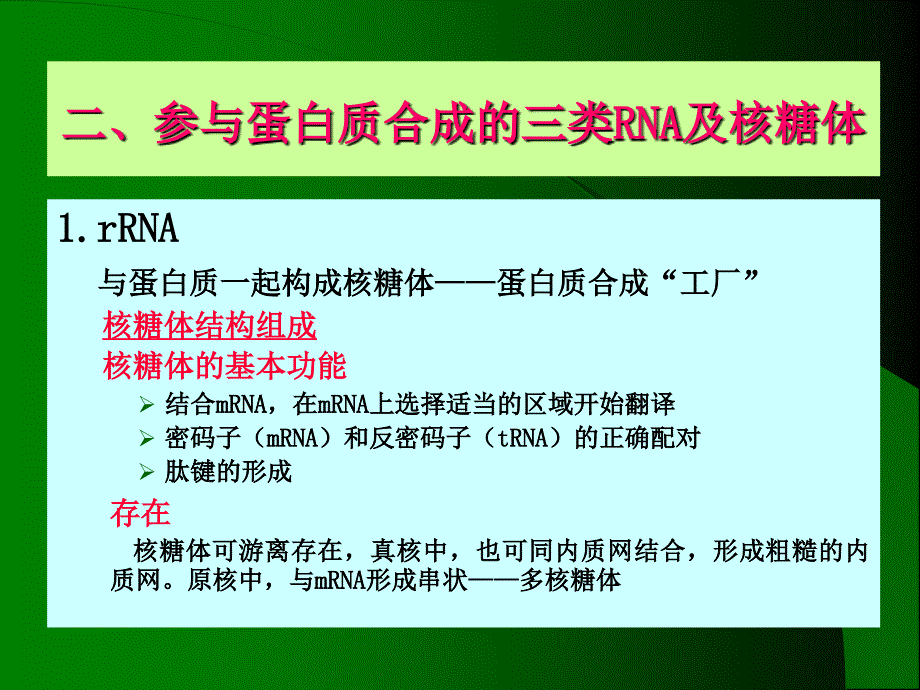 浙江大学王镜岩生物化学甲上第10章蛋白质的生物合成_第3页