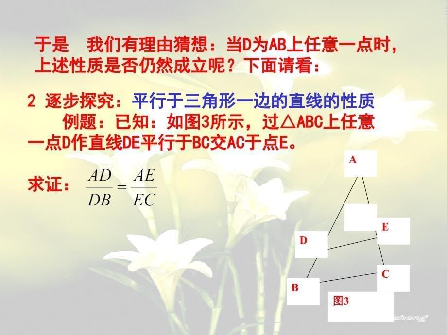 平行线成比例_第5页