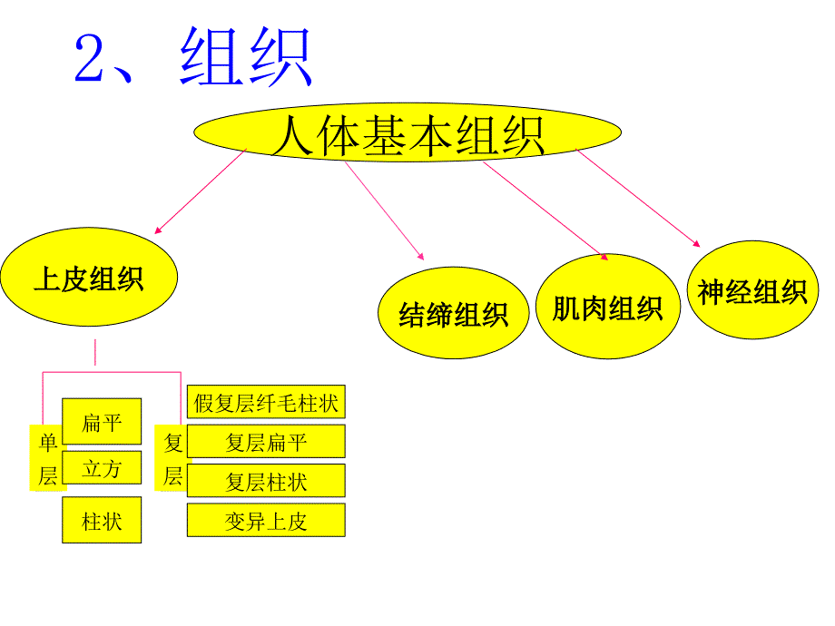 生理学课件：绪论及细胞_第4页