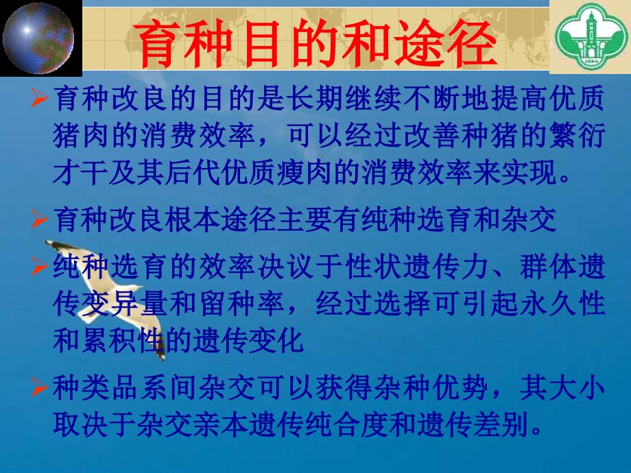 瘦肉型育种计划的几个关键问题南宁ppt课件_第4页