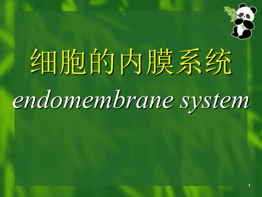 细胞的内膜系统文档资料_第1页