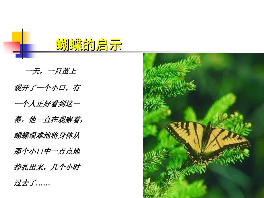 《逆商助你成功》PPT课件.ppt_第3页